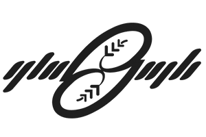 Logo mali 5